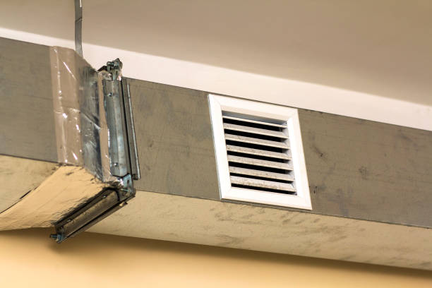 Best Air Duct Mold Removal  in Hudson, MI